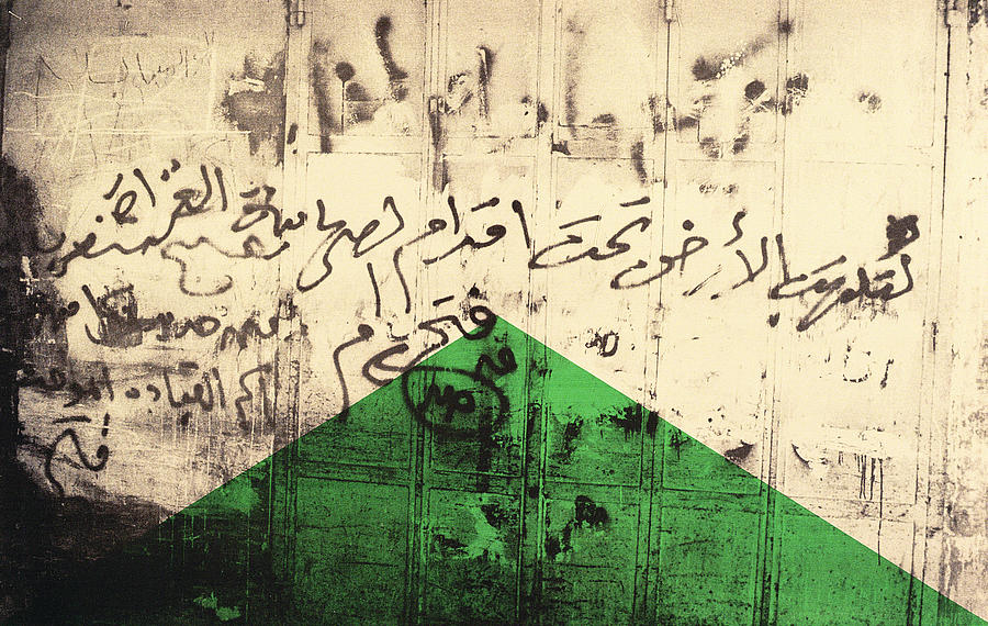 Arabic Photograph - Flag I, 1992 Screenprint On Canvas by Laila Shawa