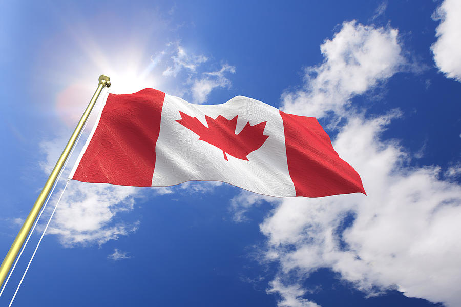 Flag of Canada Photograph by Kutay Tanir