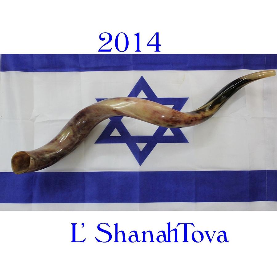 Flag Of Israel New year Mixed Media by Florene Welebny