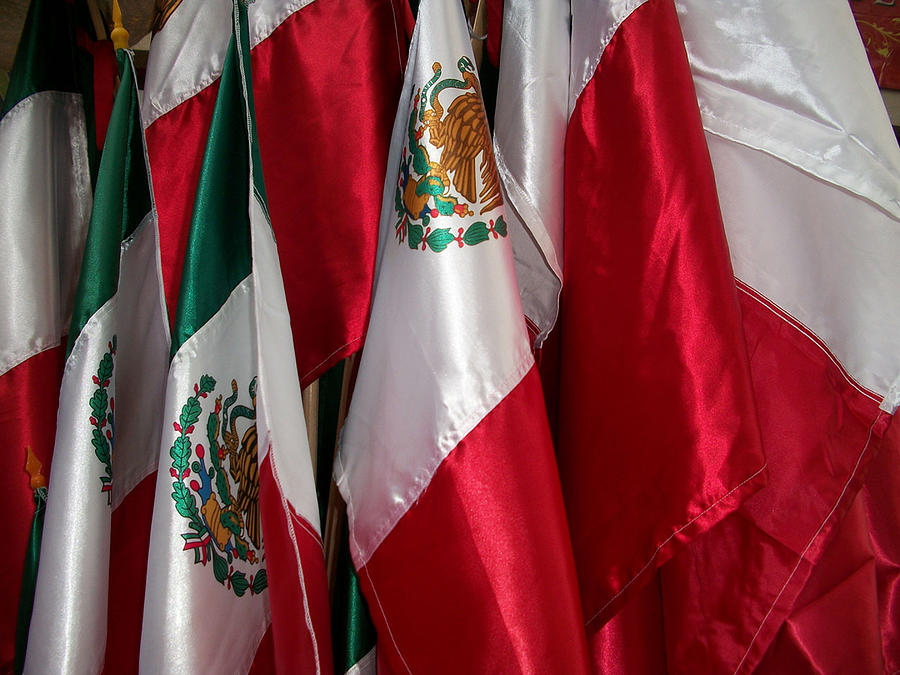Flags of Mexico Photograph by Ellen Henneke