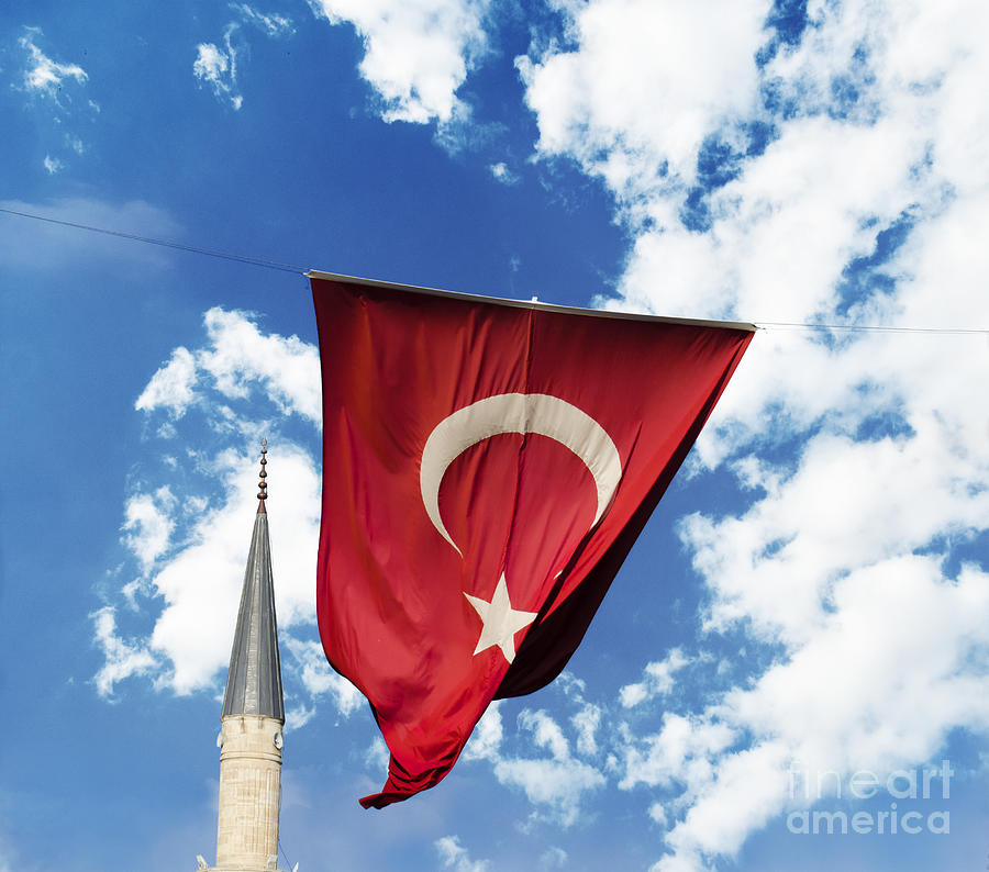 Turkey Photograph - Flag of Turkey by Jelena Jovanovic