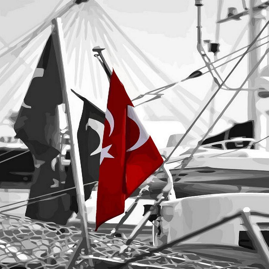 Flag of Turkey - Selective Coloring Photograph by Taiche Acrylic Art