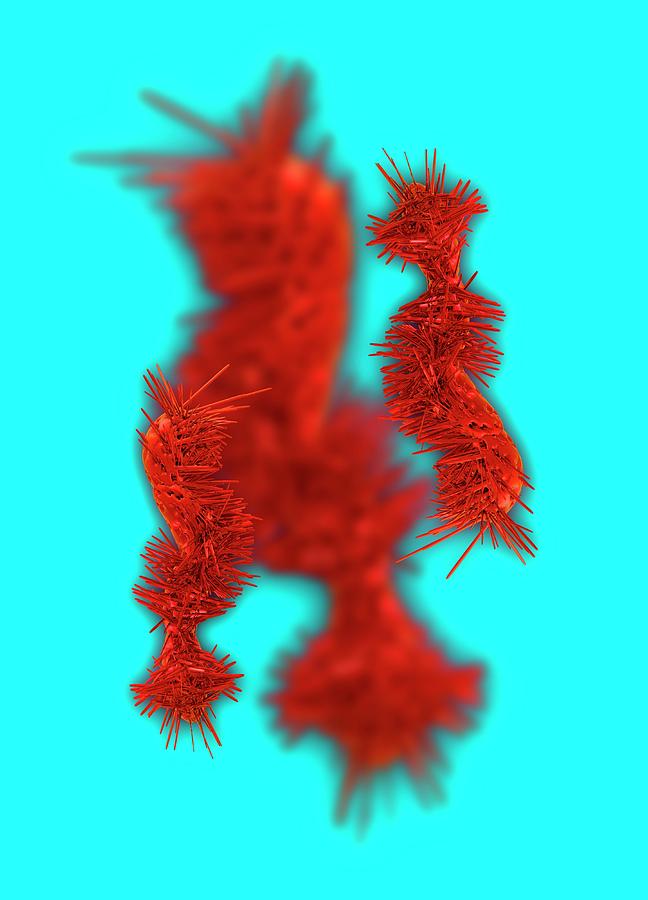 Illustration Photograph - Flagella Virus by Victor Habbick Visions