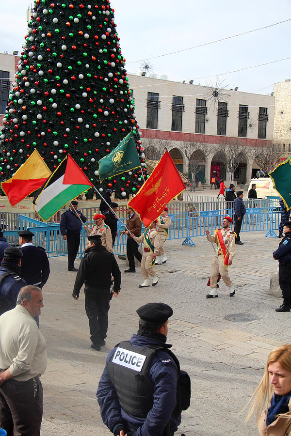 Flags and Christmas Tree Photograph by Munir Alawi