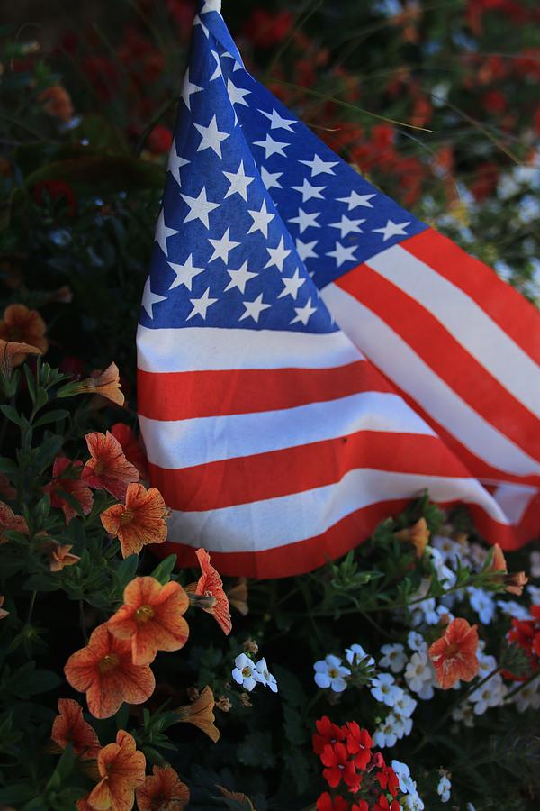 Flags and Flowers Photograph by Laddie Halupa