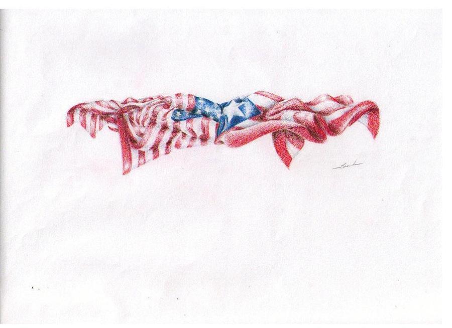 Ripped Flag Drawing