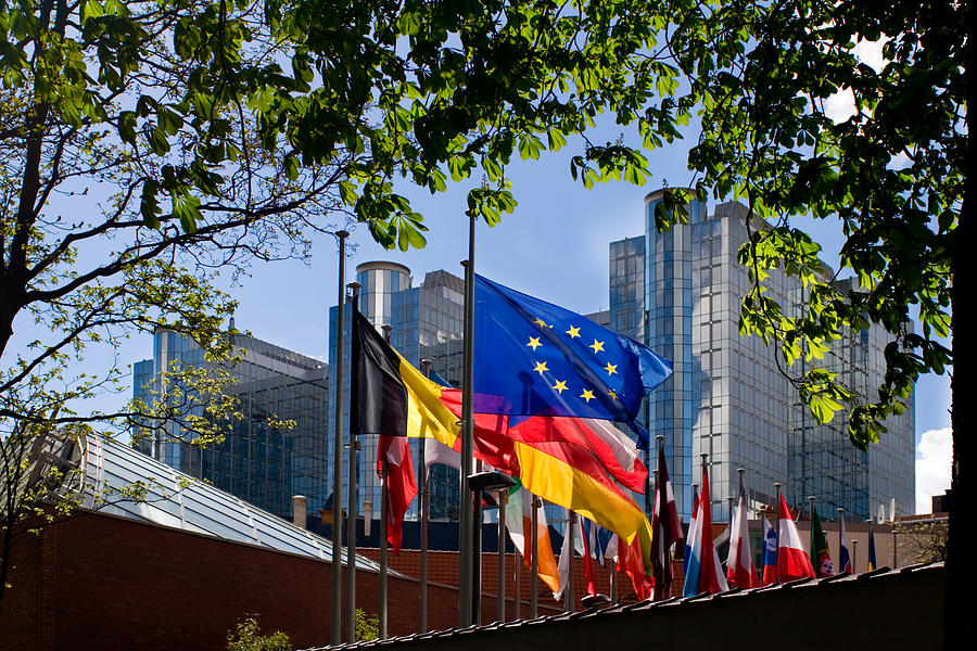 Flags in front of European Parliament, Brussels Photograph by FrankyDeMeyer