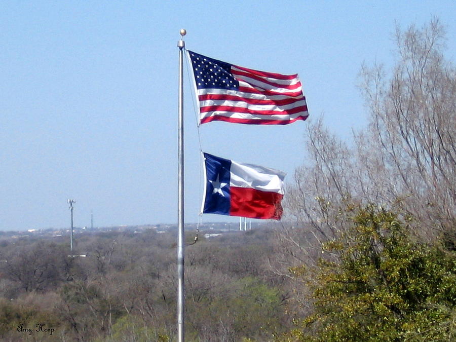 Flags in Southwest Fort Worth Photograph by Amy Hosp