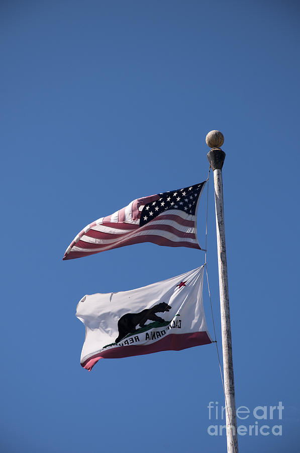 Flags of California Photograph by Brenda Kean