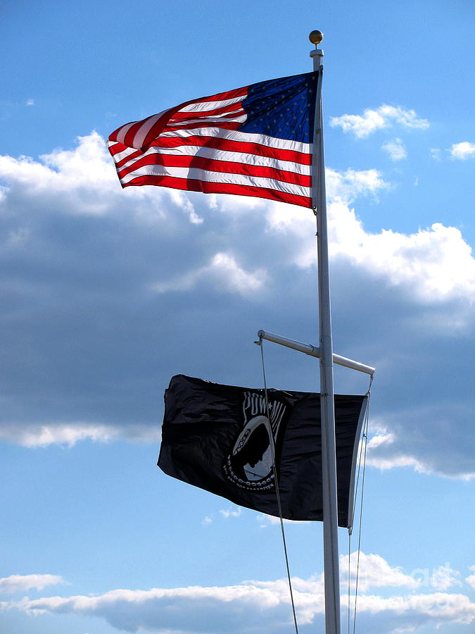 Flag Photograph - Flags of the Brave by Colleen Kammerer
