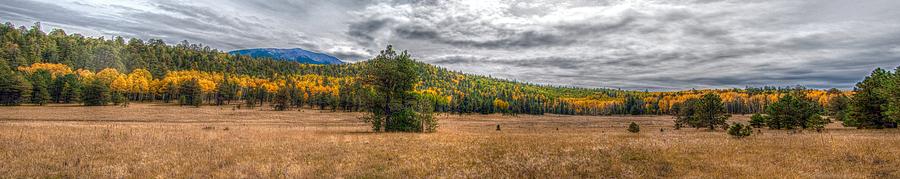 Flagstaff Fall Color Photograph by Tam Ryan