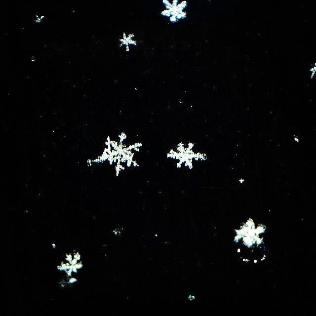 Nature Photograph - Flakes From Sky, Show What Is To Come by Nick Soar