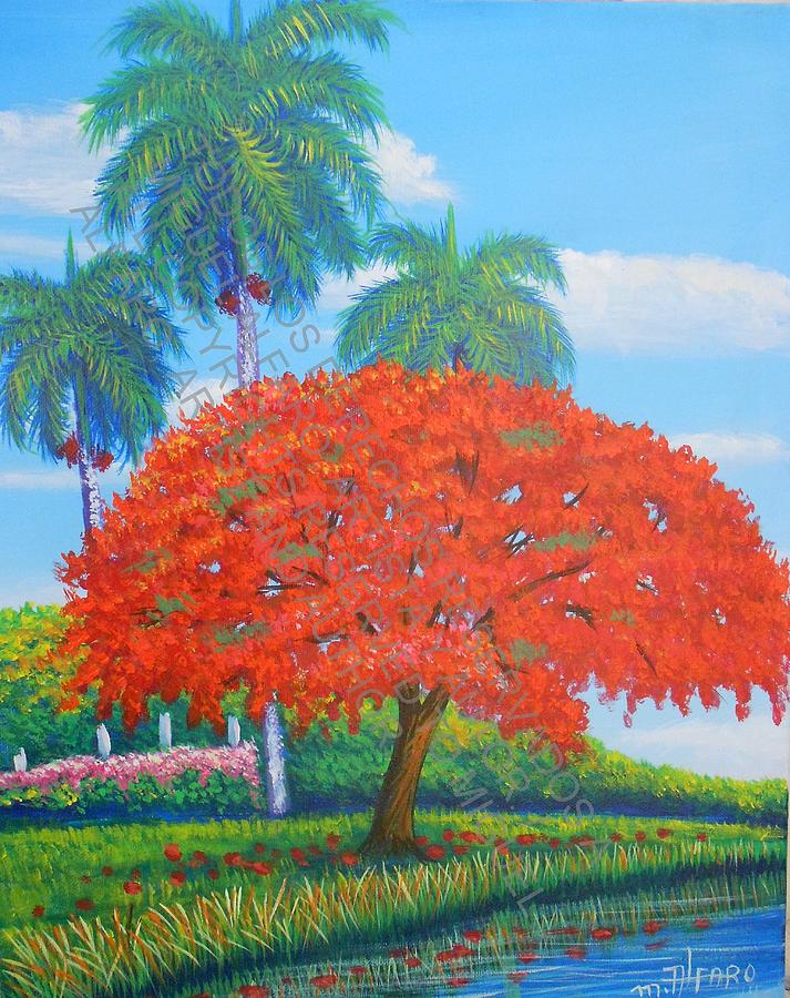 Flamboyan. Royal Poinciana Tree Painting