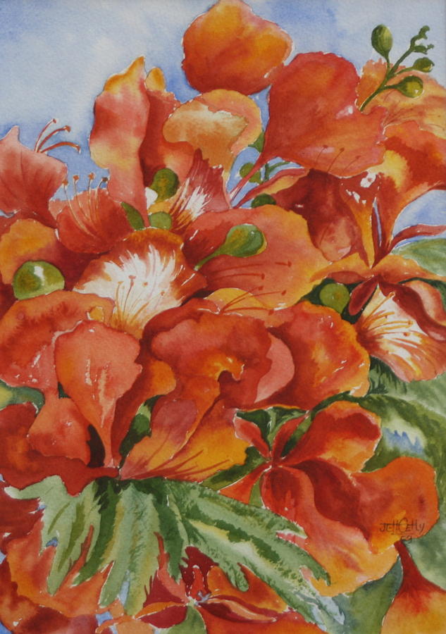 Flamboyant in Aruba Painting by Jane Getty | Fine Art America