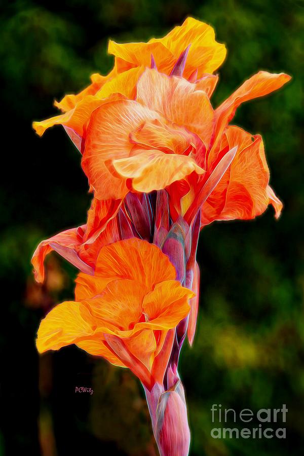 Flamboyant Orange Cannas Photograph by Patrick Witz