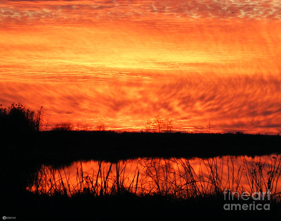 Flamed Sunset Photograph by Lizi Beard-Ward