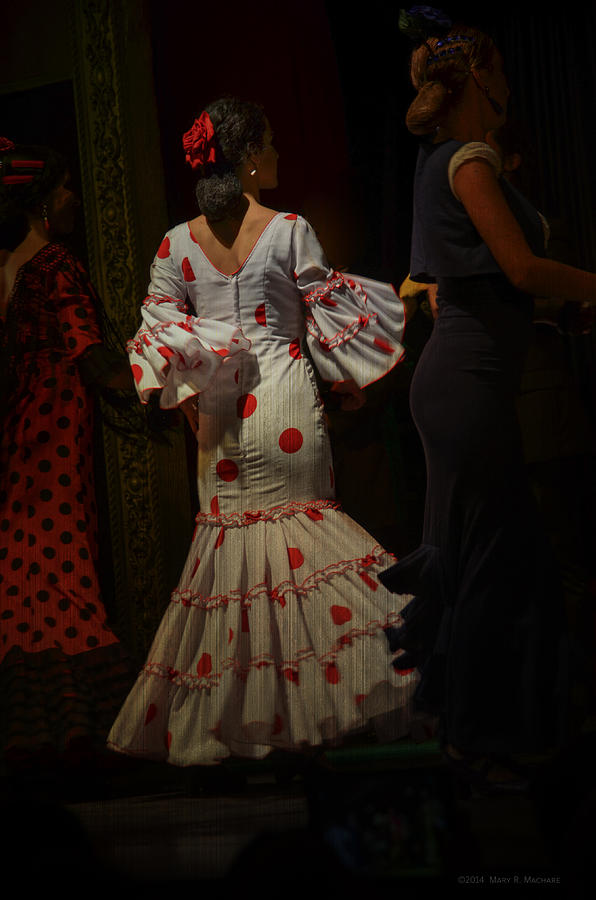 Flamenco Dancer #14 Photograph by Mary Machare