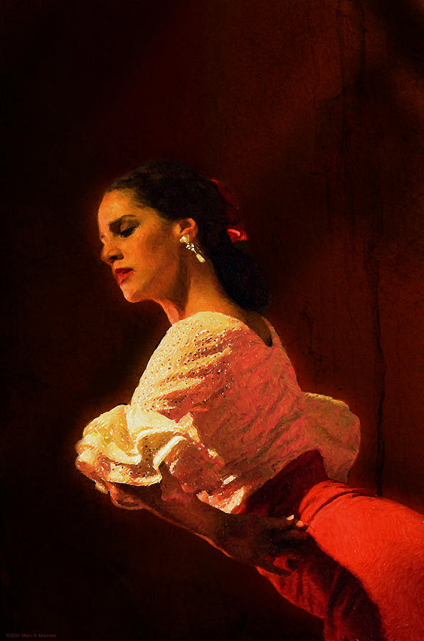 Flamenco Dancer 18 Digital Art by Mary Machare