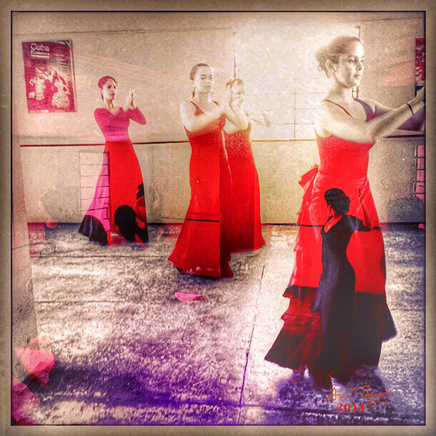 Flamenco Dream #1 Photograph by Ann Tracy