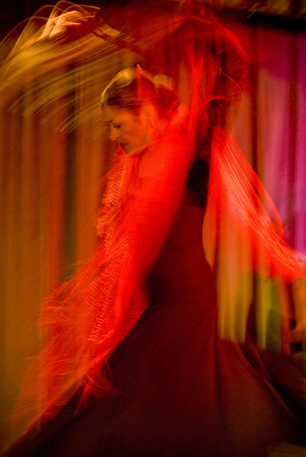 Flamenco Series 10 Photograph by Catherine Sobredo
