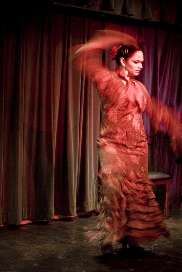 Flamenco Series 13 Photograph by Catherine Sobredo