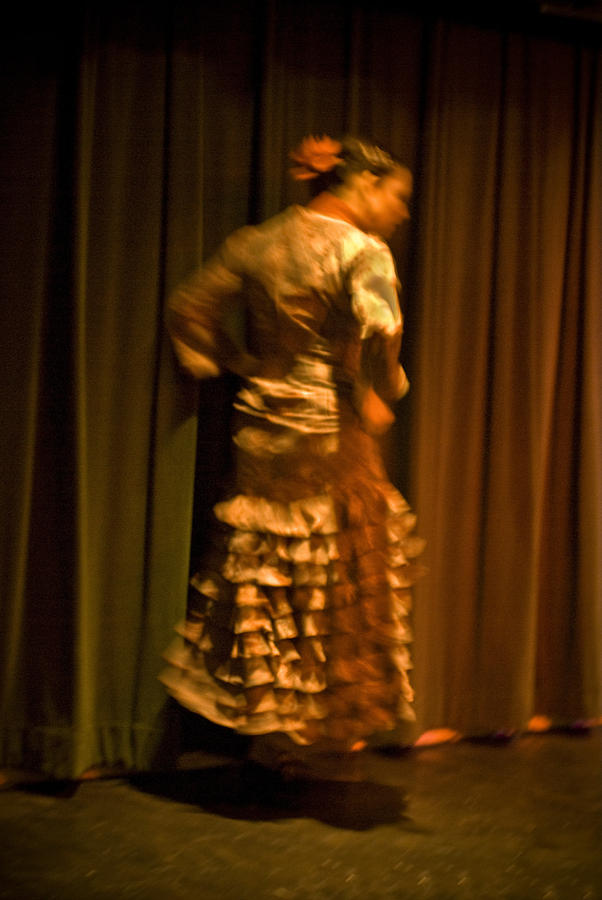 Flamenco Series 14 Photograph by Catherine Sobredo