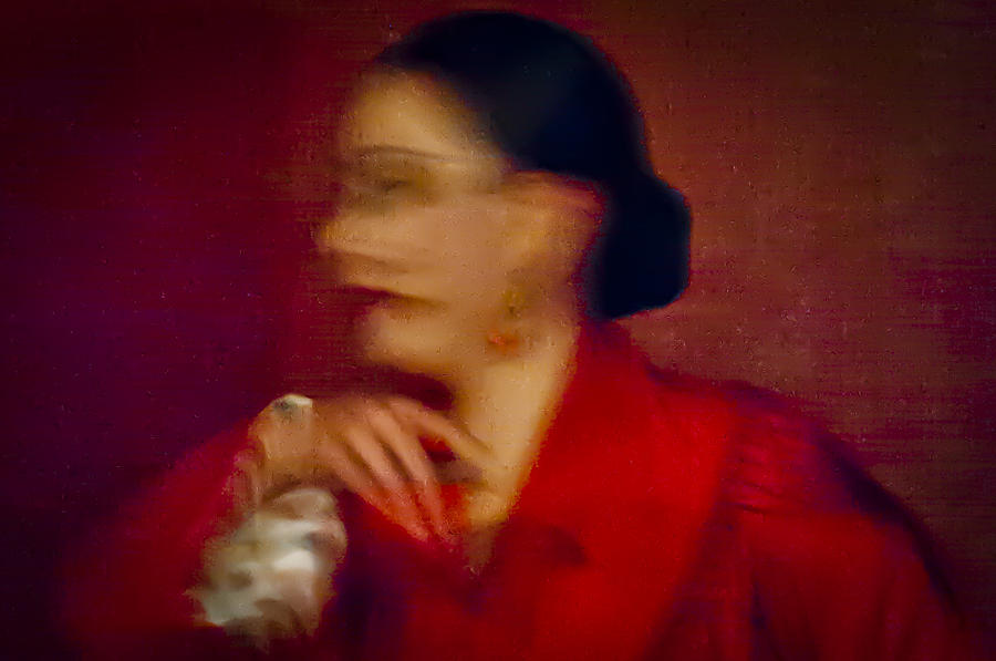 Flamenco Series 4 Photograph by Catherine Sobredo