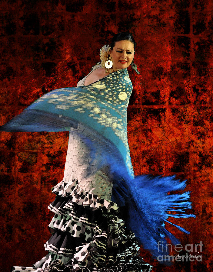 Flamenco Series #4 Photograph by Mary Machare