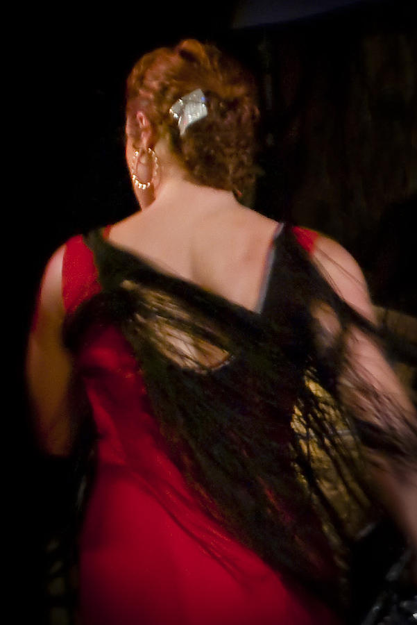 Flamenco Series 6 Photograph by Catherine Sobredo