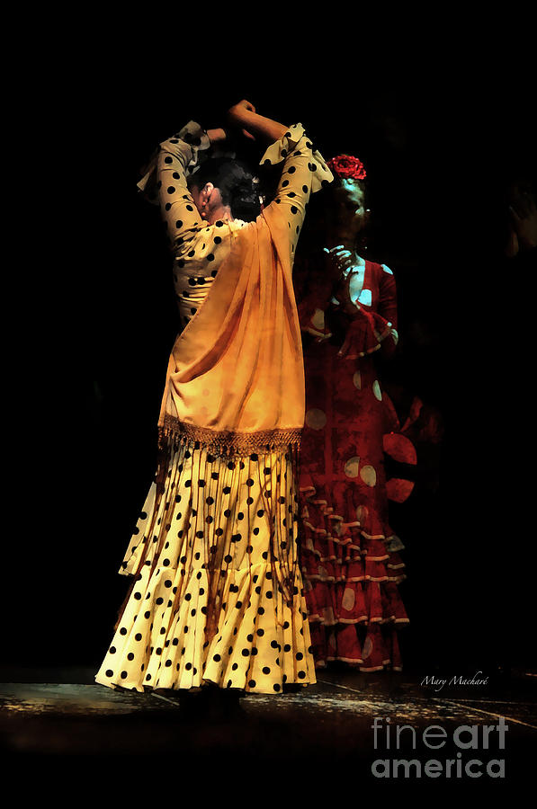 Flamenco Series #7 Photograph by Mary Machare
