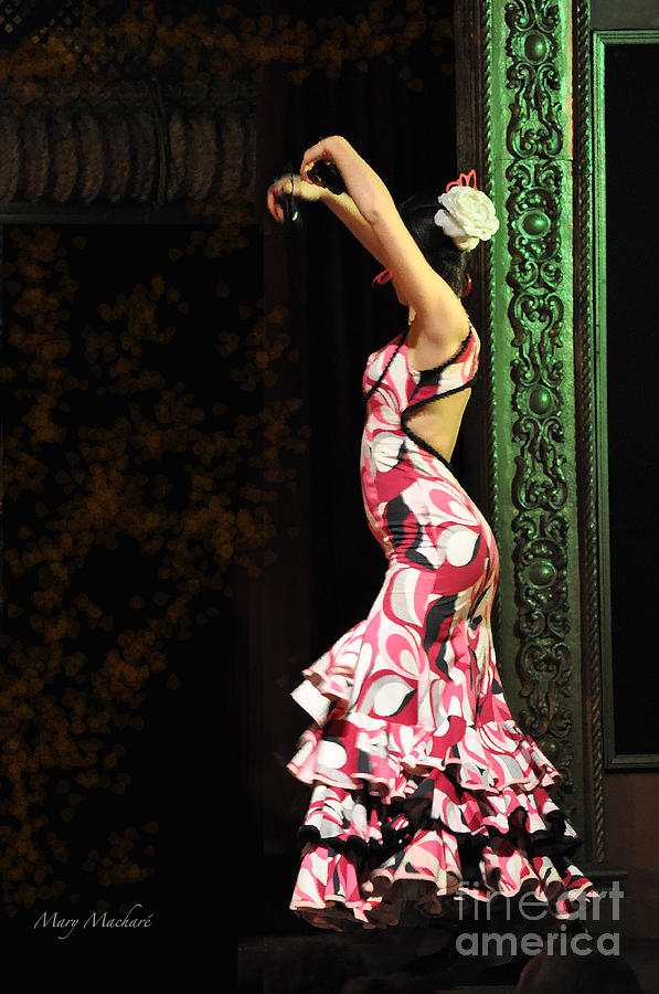 Music Photograph - Flamenco Series #8 by Mary Machare