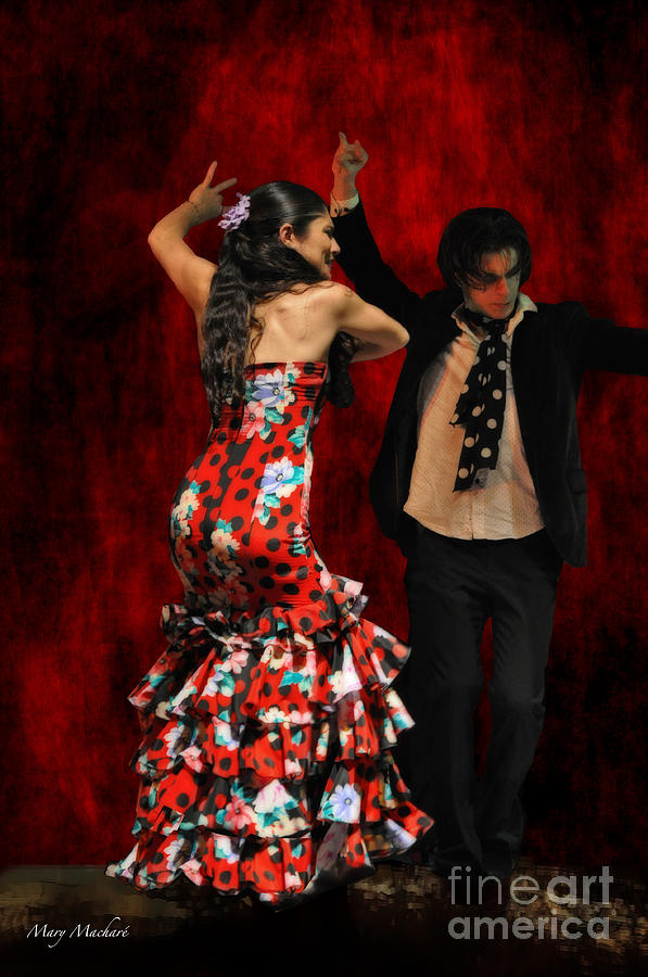 Flamenco Series #9 Photograph by Mary Machare