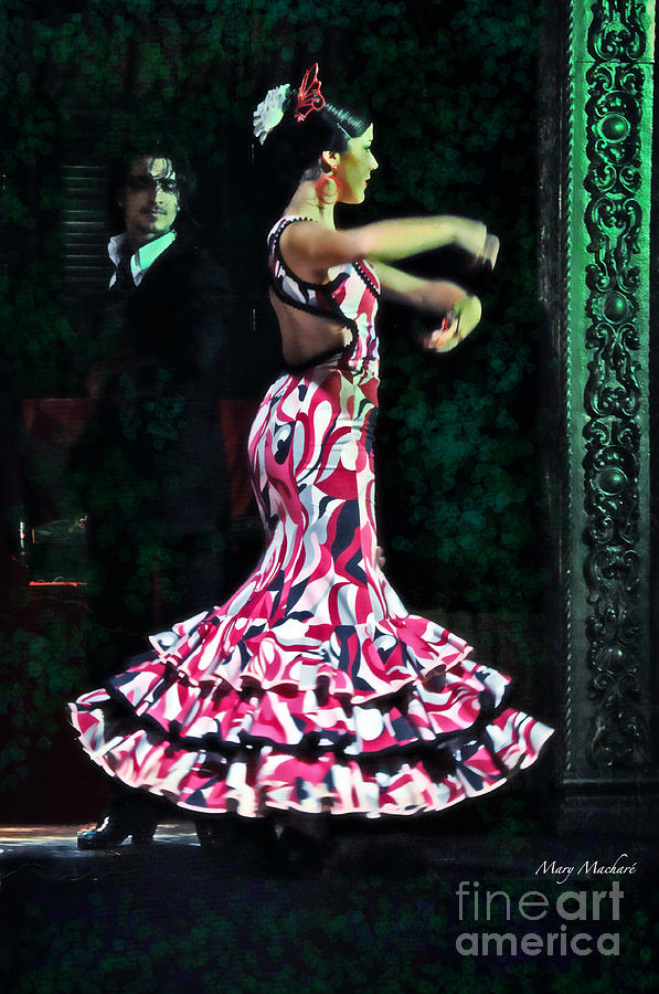 Flamenco Series No. 10 Photograph by Mary Machare