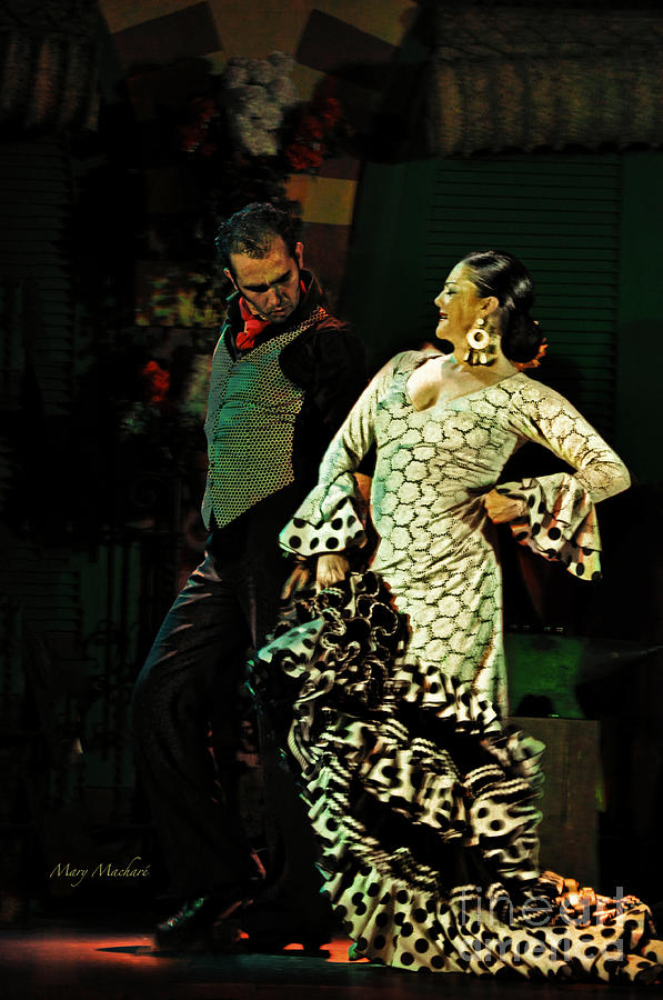 Flamenco Series No 11 Photograph by Mary Machare