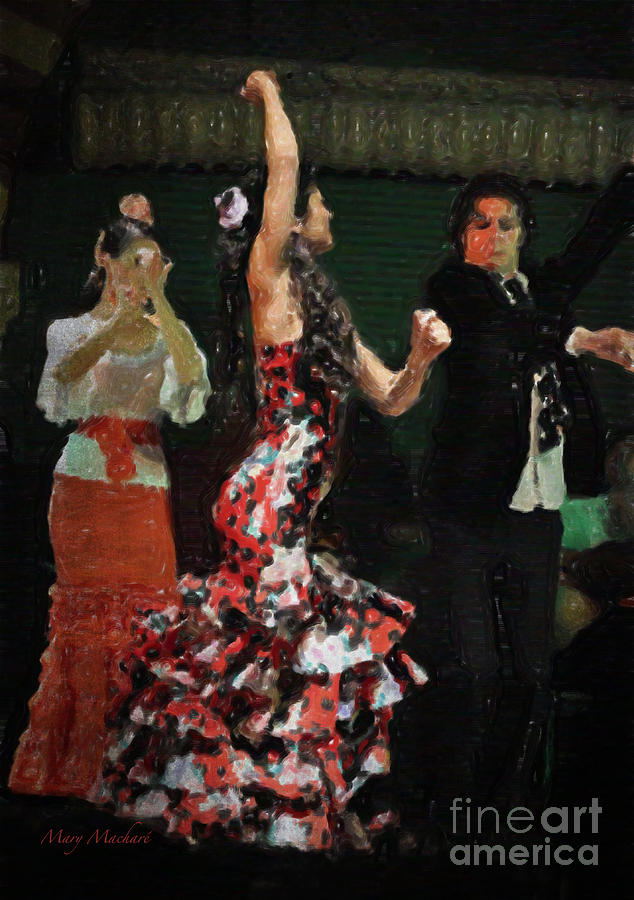 Flamenco Series No 13 Photograph by Mary Machare