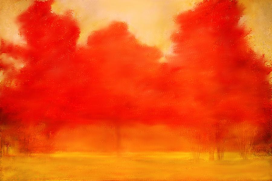 Flaming Red Maple Trees Photograph by Suzanne Powers