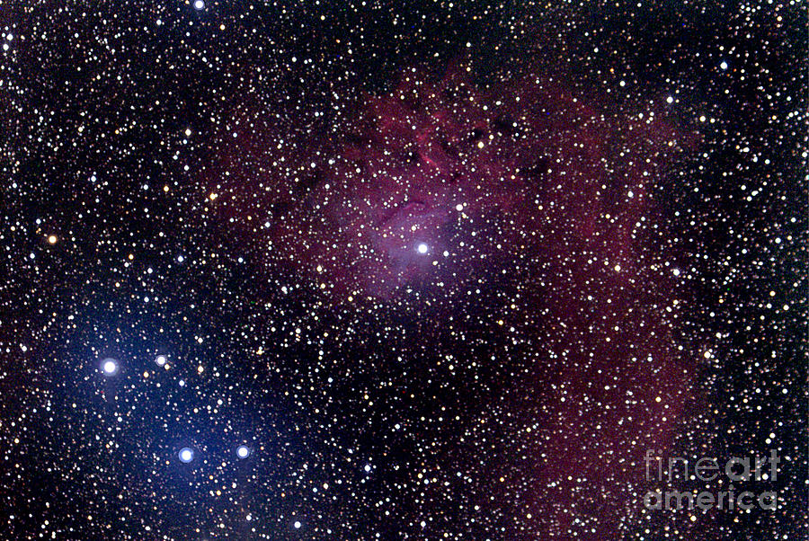 Flaming Star Nebula Region Photograph by John Chumack