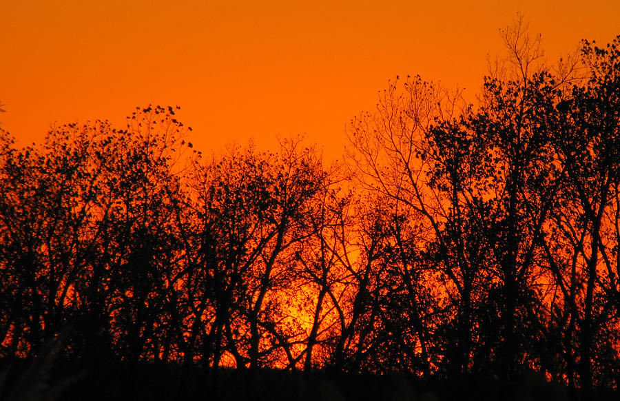 Flaming Sunset II Photograph by Tony Grider