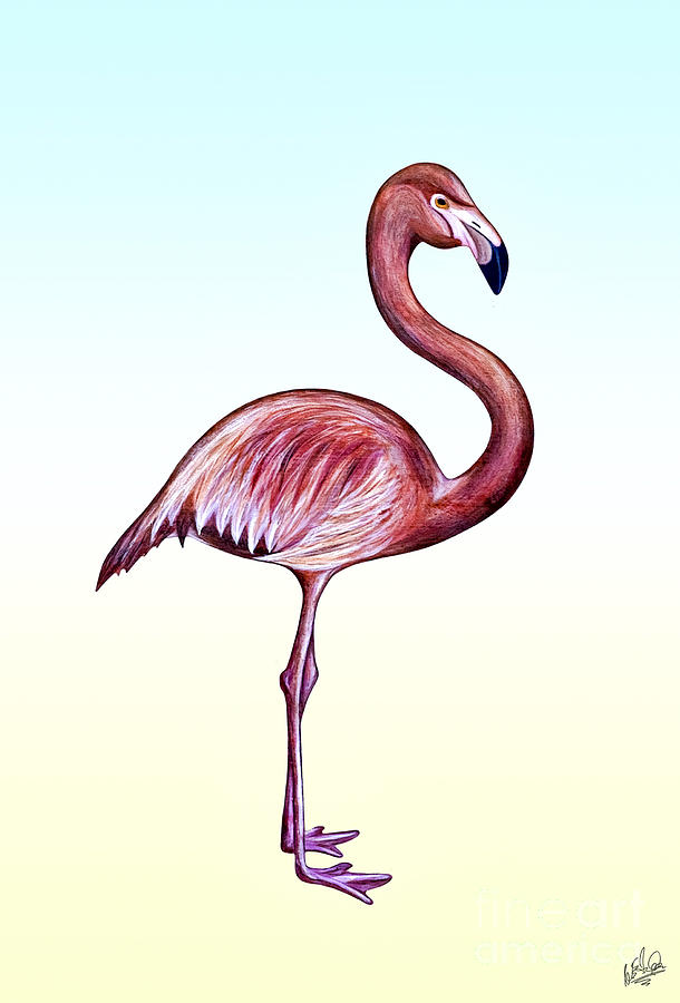 Flamingo 1 Mixed Media by Walt Foegelle