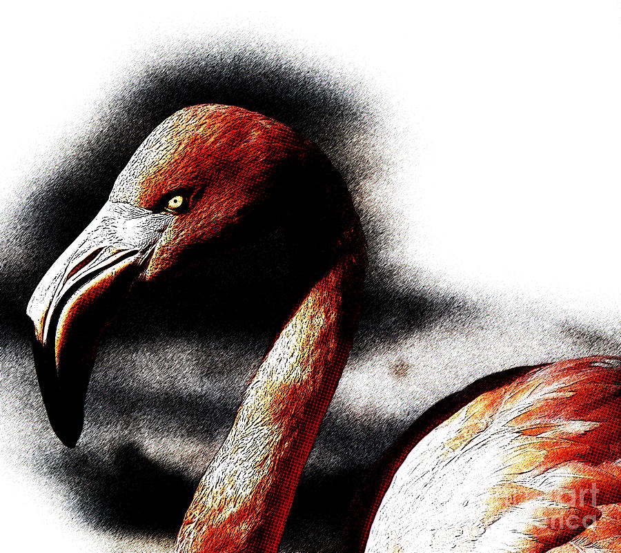 Flamingo Digital Art by Celestial Images