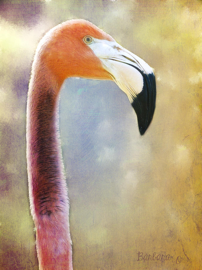 Flamingo Photograph by Barbara Orenya