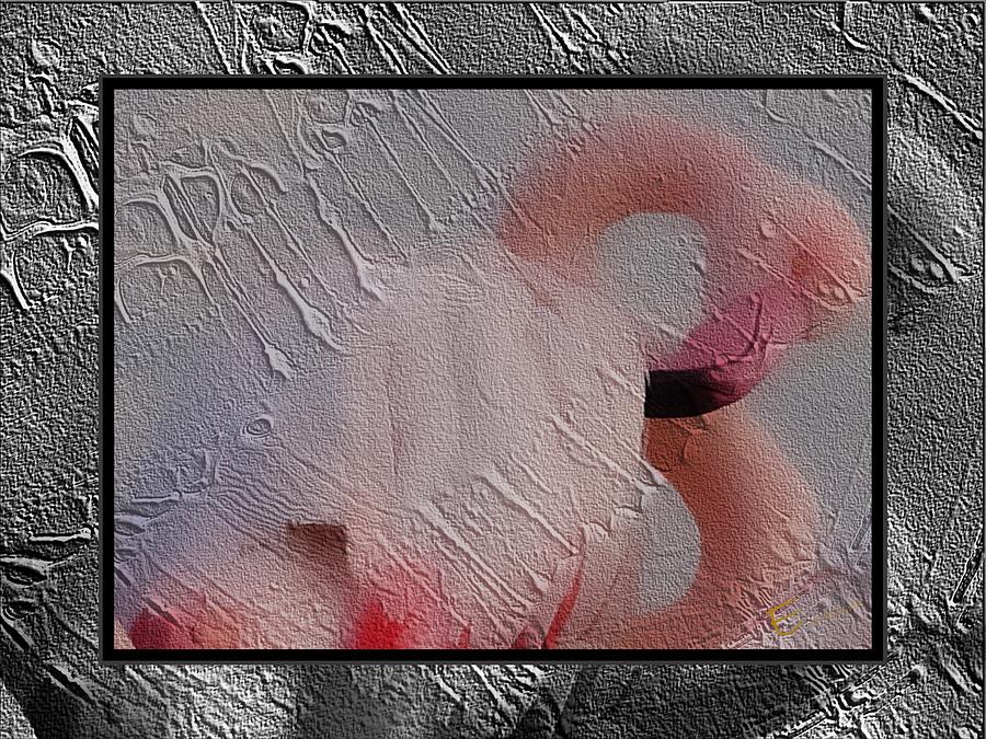 Flamingo Mixed Media - Flamingo Breath by Ernestine Manowarda