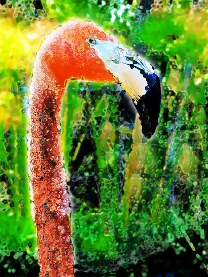 Flamingo Digital Art - Flamingo by David Blank