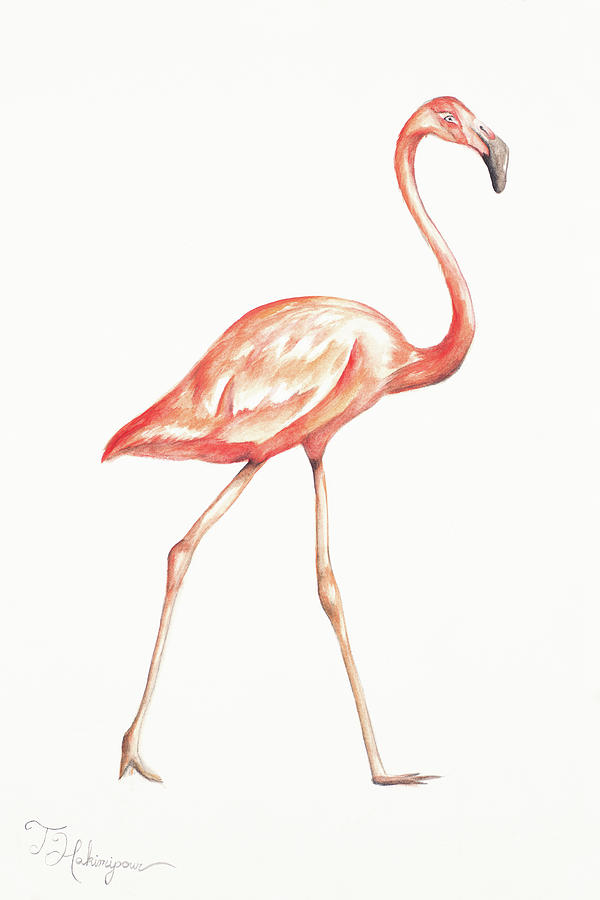 Flamingo Painting - Flamingo Duo I by Tiffany Hakimipour