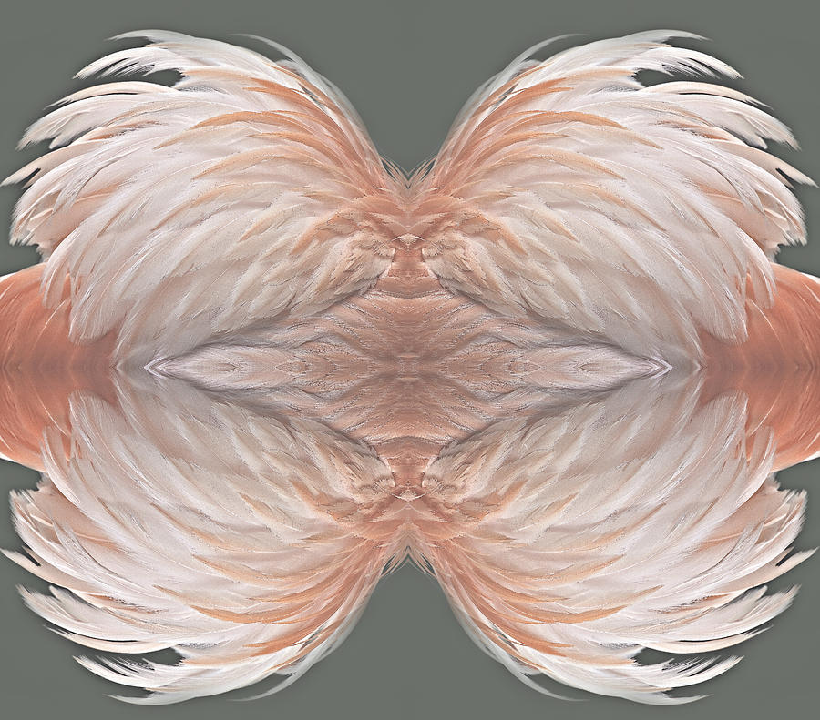 Flamingo Feather Abstract Photograph by Susan Candelario