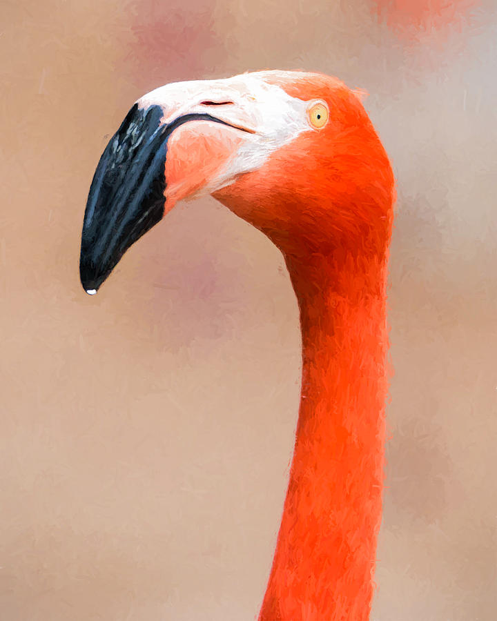 Flamingo Head - Digital Photo Art Photograph by Duane Miller