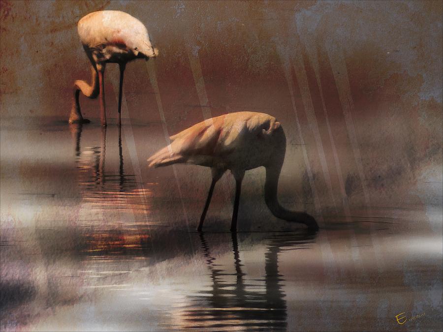 Flamingo Humor Photograph by Ernestine Manowarda