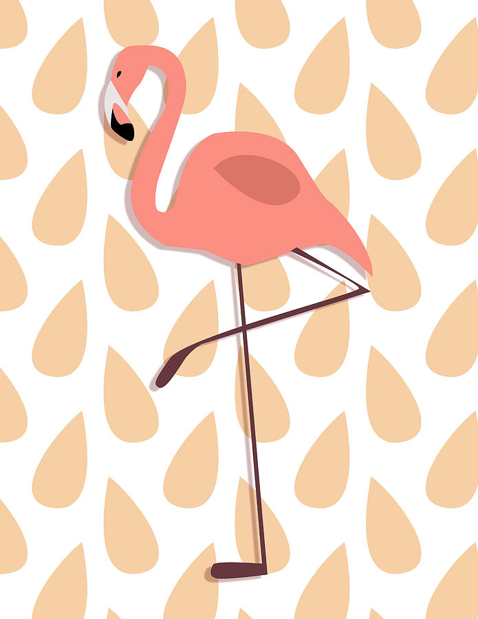Flamingo Illustration Digital Art
