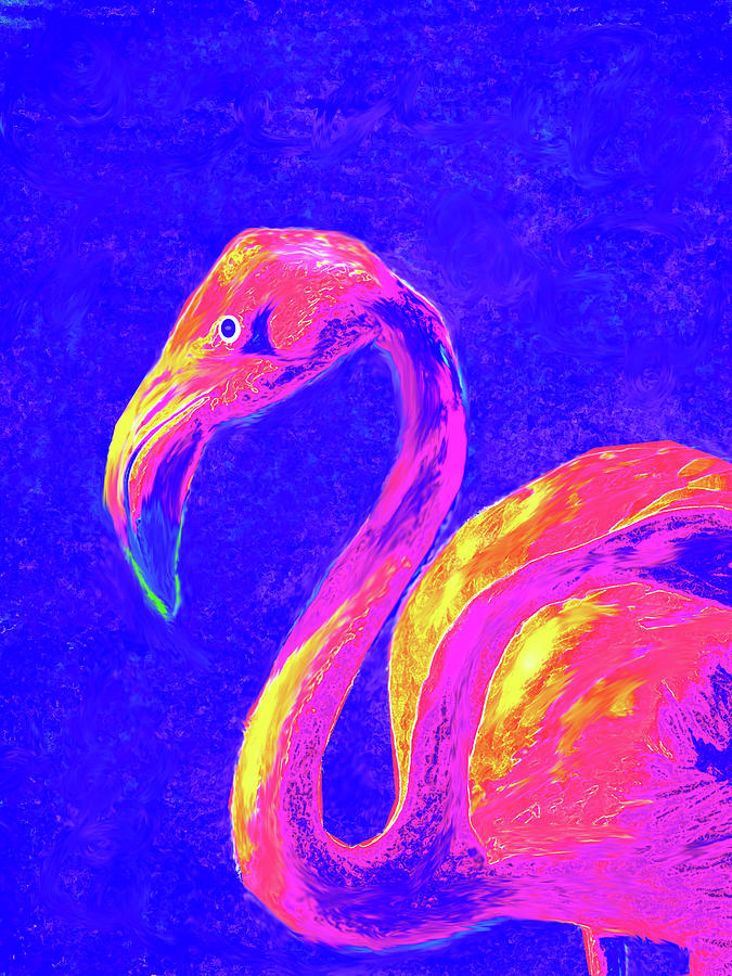 Flamingo Digital Art by Jane Schnetlage