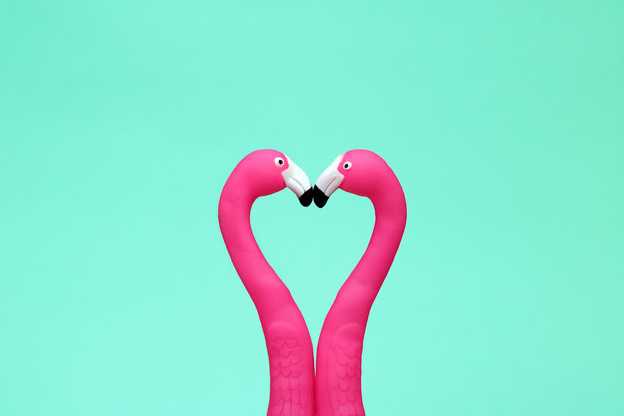 Flamingo Love Heart Friends Kiss Photograph by Kelly Bowden